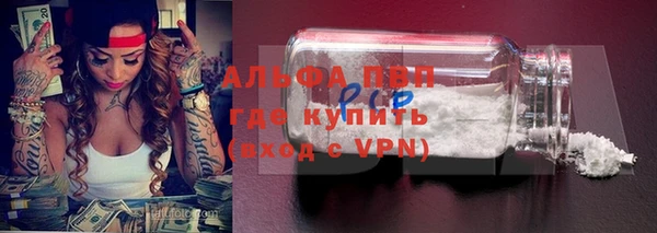 молекула духа Козельск
