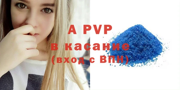 молекула духа Козельск