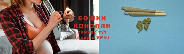 молекула духа Козельск