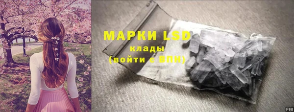 молекула духа Козельск
