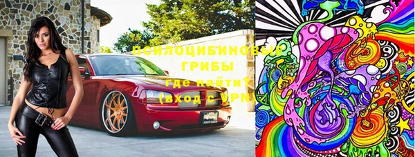 молекула духа Козловка