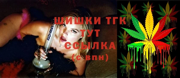 молекула духа Козловка
