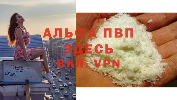 молекула духа Козельск