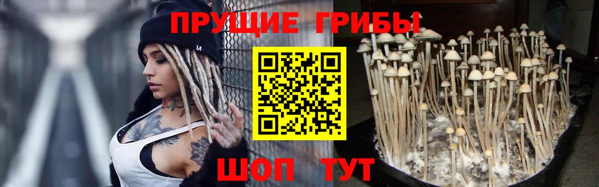 Галлюциногенные грибы Psilocybe  Псилоцибиновые грибы Magic Shrooms  цены   Вход с VPN  Пенза 